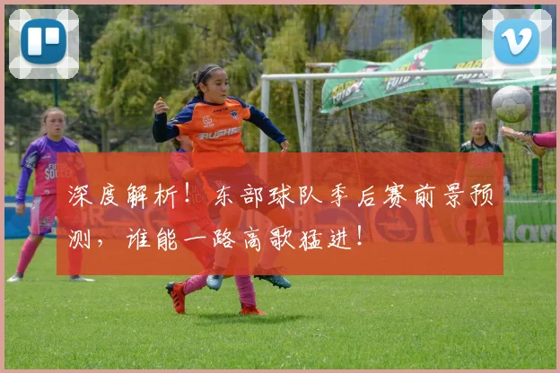 深度解析！东部球队季后赛前景预测，谁能一路高歌猛进！